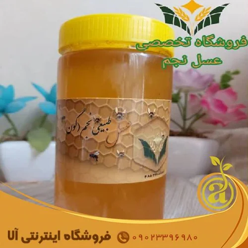 عسل طبیعی گون ۱۴۰۲ یک کیلویی